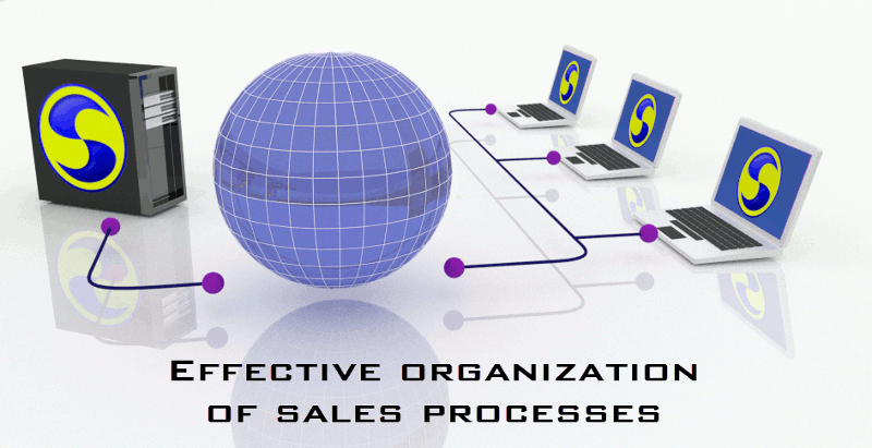 Visualisation of effective organization of sales processes